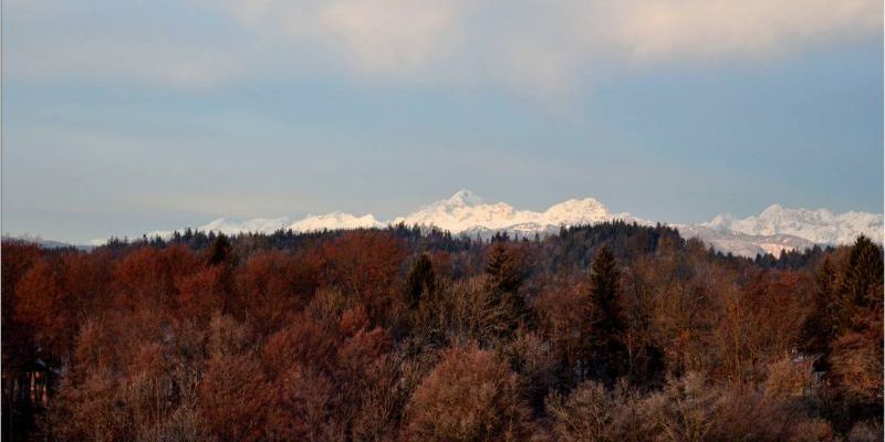 Studijo z najlepšim razgledom Studijo z najlepšim razgledom